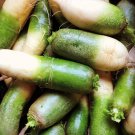 Green Luobo Chinese Radish Seeds