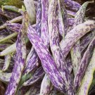 Dragon'S Tongue Bean Seeds