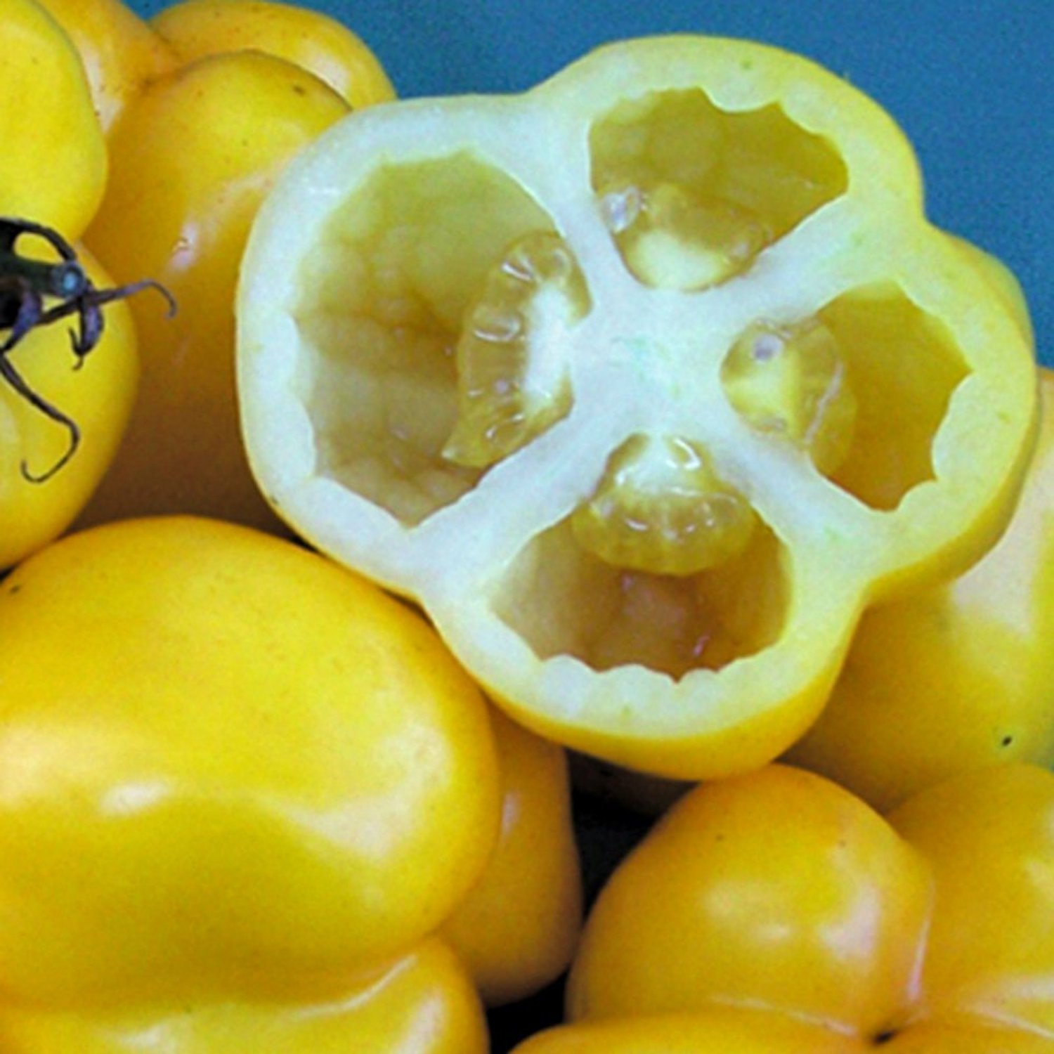 Yellow Stuffer Tomato Seeds