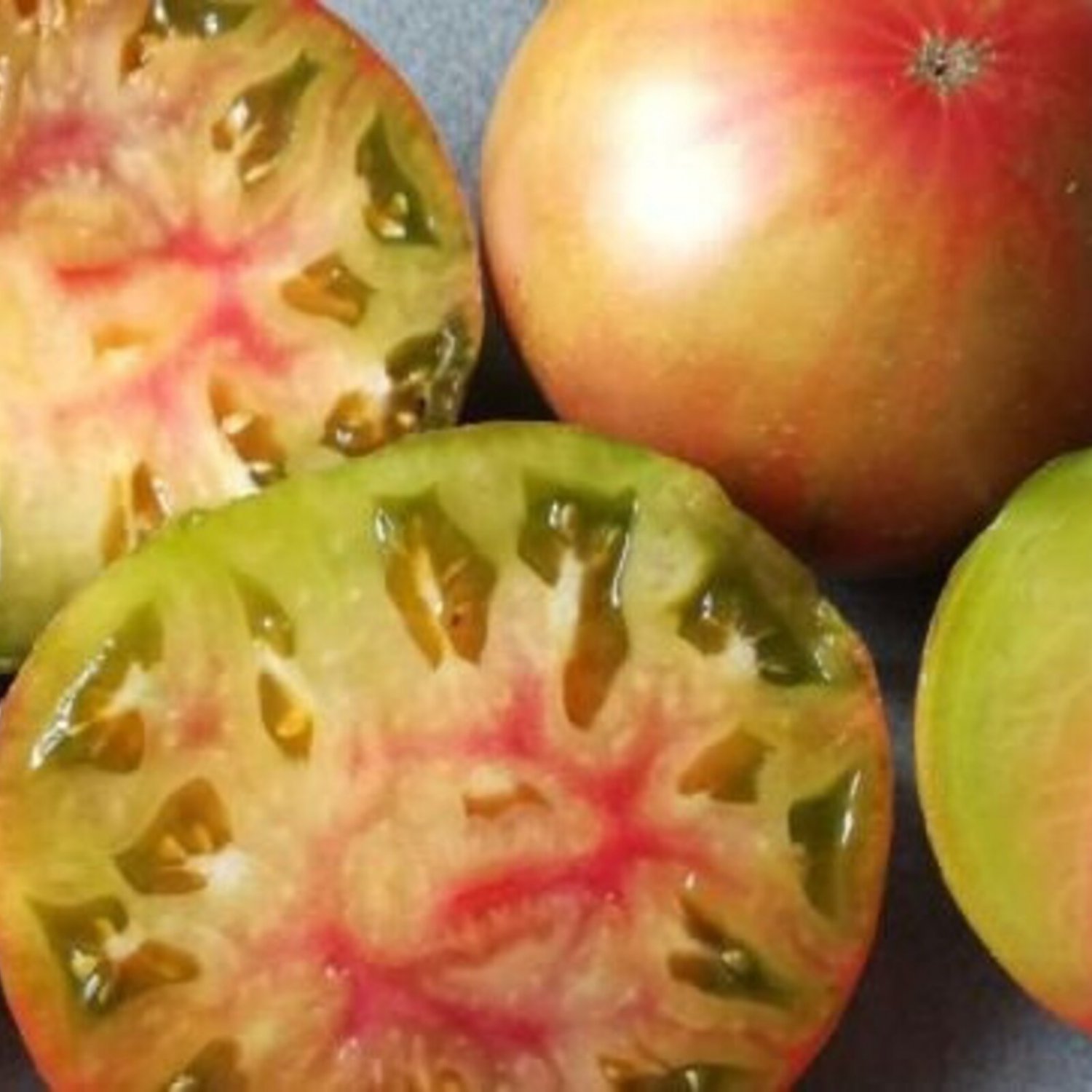 Captain Lucky Tomato Seeds Organic