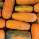 Long Pie Pumpkin Seeds Organic