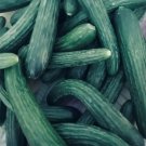 Armenian Dark Green Cucumber Seeds