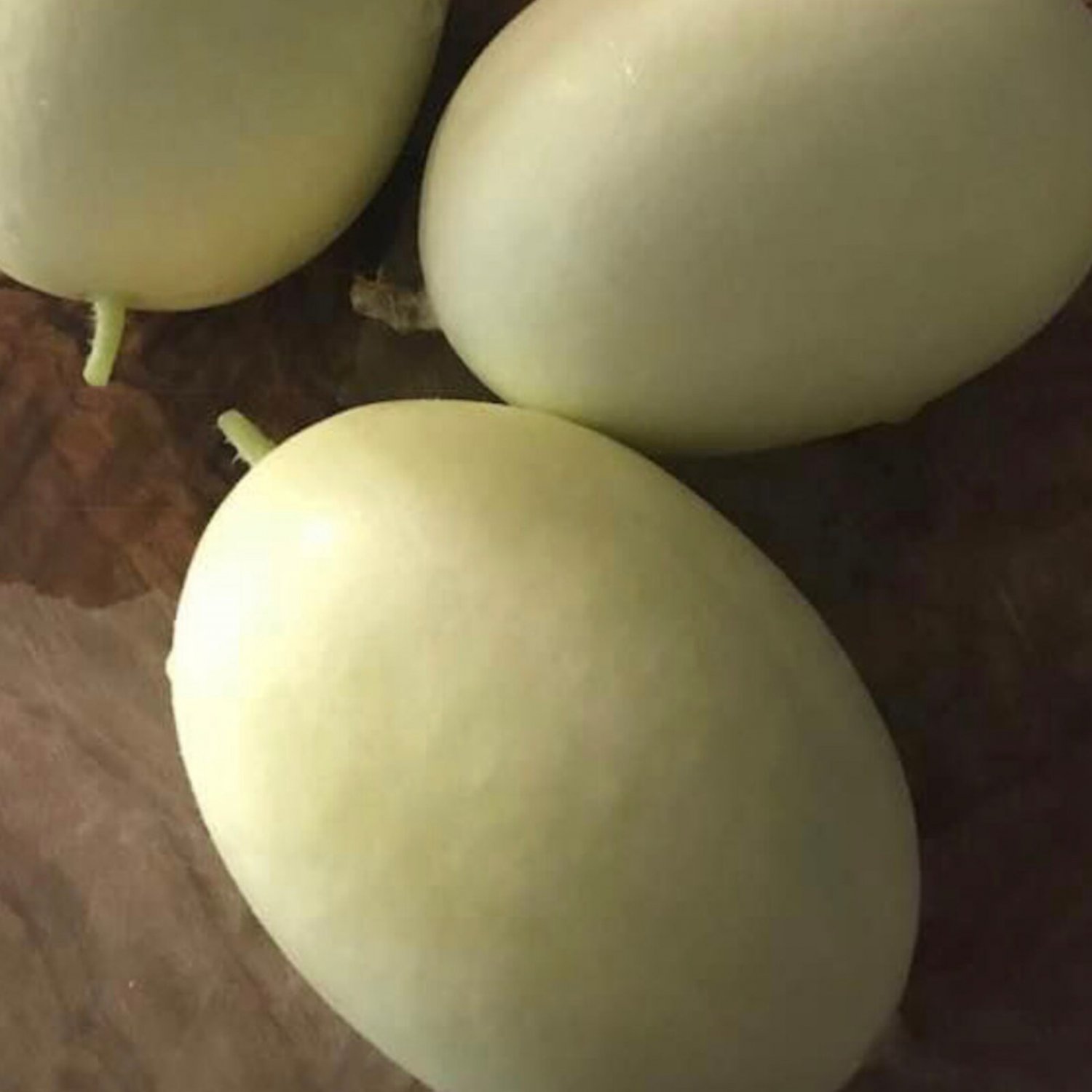 Dragon'S Egg Cucumber Seeds Organic