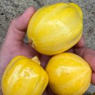 Lemon Squash Seeds
