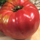 German Pink Tomato Seeds