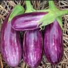 Pandora Striped Rose Eggplant Seeds