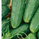 Homemade Pickles Cucumber Seeds