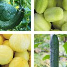 Cucumber Mix Seeds