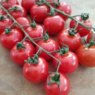 Chadwick Cherry Tomato Seeds Organic