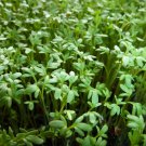 Cur Cress Seeds