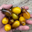 Indigo Pear Drops Tomato Seeds