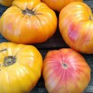 Mr. Stripey Tomato Seeds