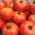 Campbell'S 146 Tomato Seeds Organic