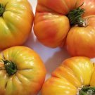 Big Rainbow Tomato Seeds Organic