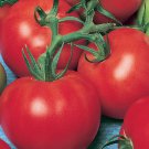 Fireworks Tomato Seeds
