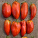 Blue Beech Tomato Seeds Organic