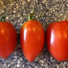 Amish Paste Tomato Seeds Organic