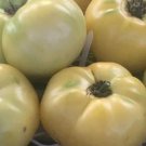 White Tomesol Tomato Seeds