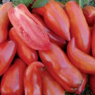 Federle Tomato Seeds