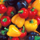Mini Bell Pepper Seed Mix