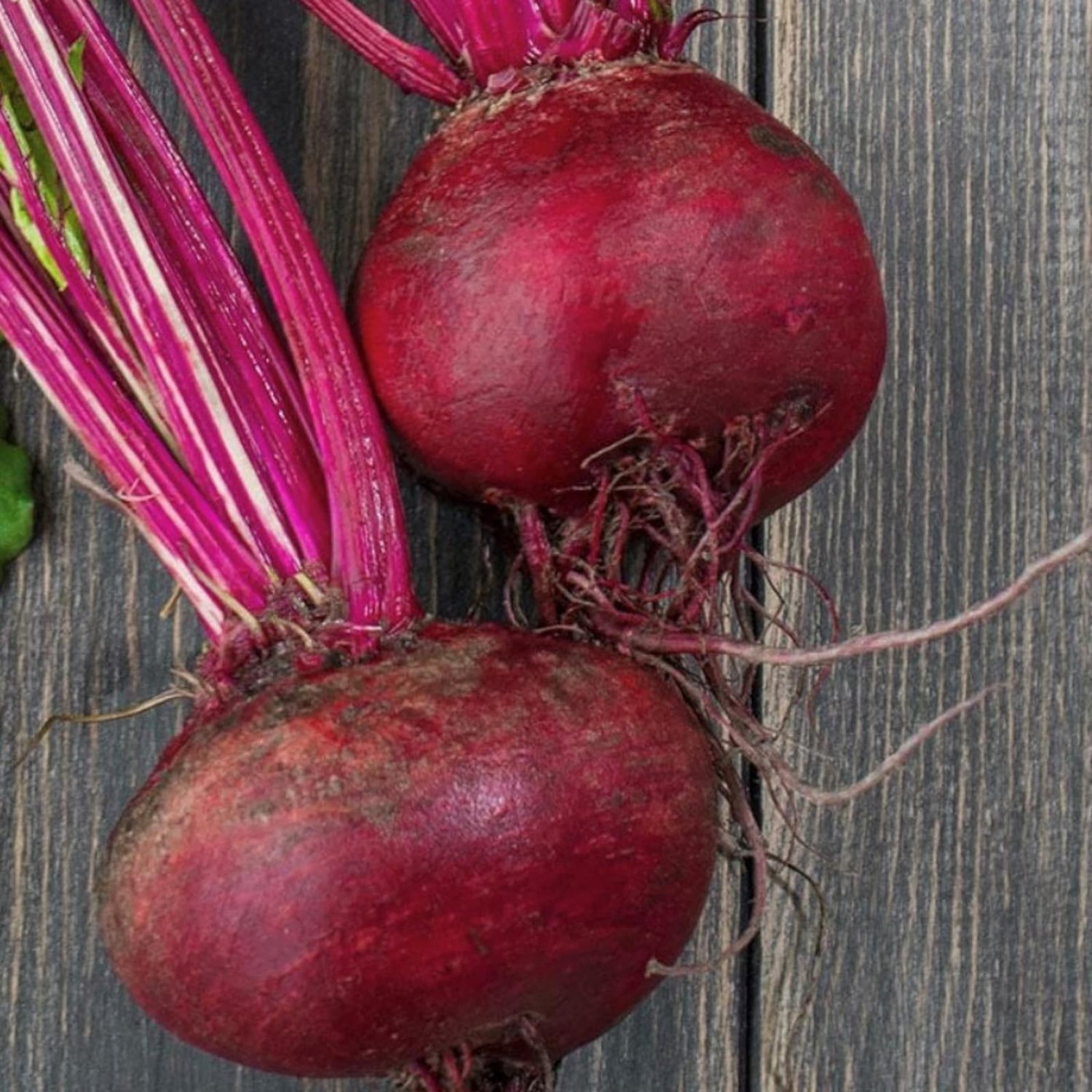 Crosby Egyptian Beet Seeds