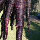 Black Nebula Carrot Seeds Organic