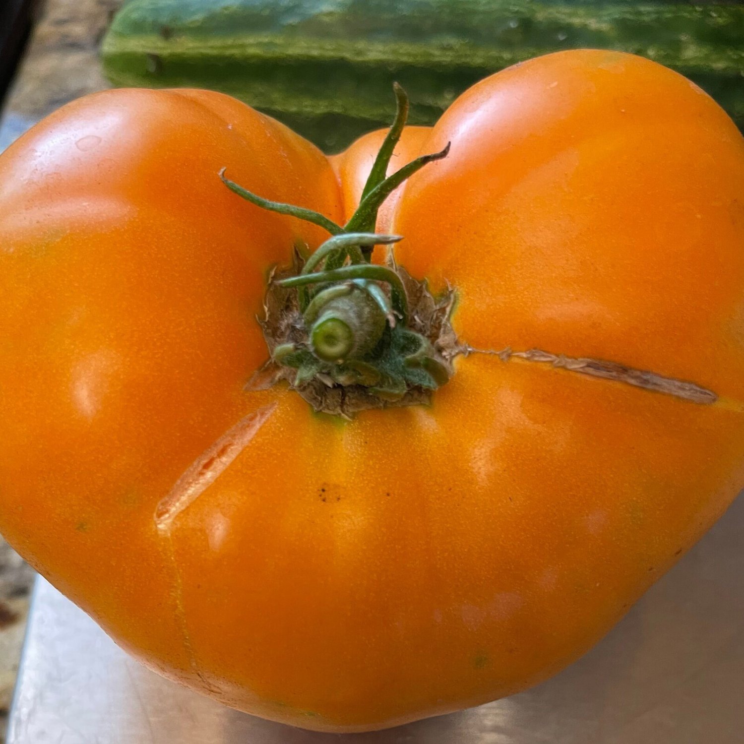 Dr. Wyche'S Yellow Tomato Seeds