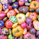 Sale** 1 Ounce 7,500-10,000 Seeds Tomato Mix Organic