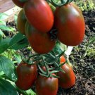 De Berao Braun Tomato Seeds