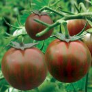 Black Zebra Tomato Seeds Organic