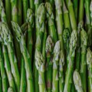 Mary Washington Asparagus Seeds Organic
