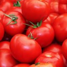 Floradade Tomato Seeds