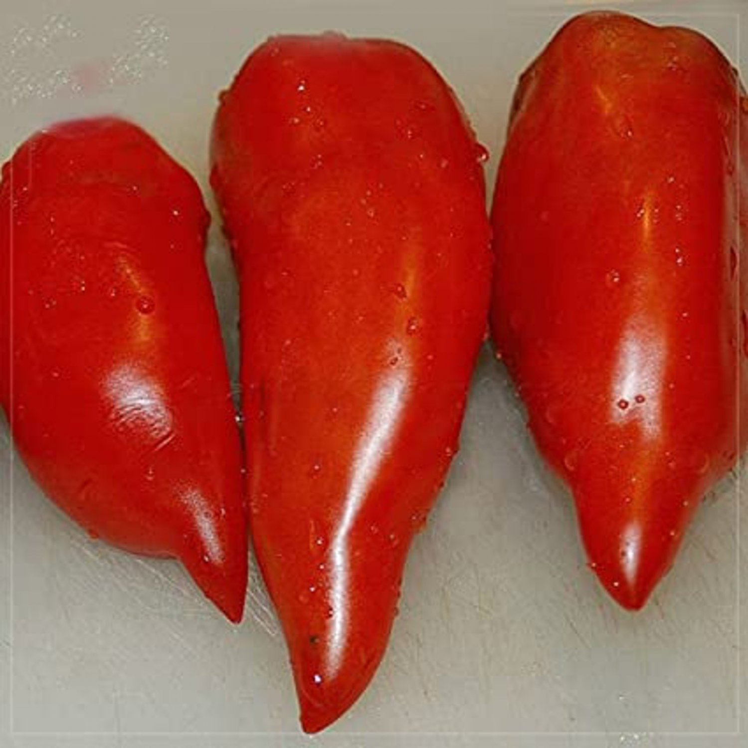Jersey Devil Tomato Seeds