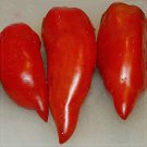 Jersey Devil Tomato Seeds