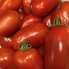 San Marzano 2 Tomato Seeds