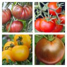 Cold Tolerant Tomato Mix Organic Seeds