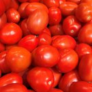 Roma Tomato Seeds