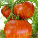 Red Zebra Tomato Seeds