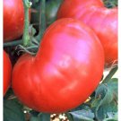 Red Ponderosa Tomato Seeds