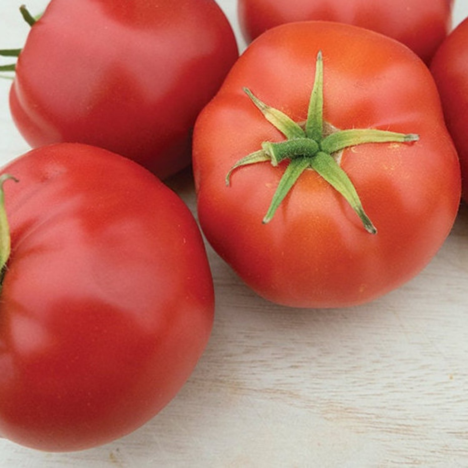 Quarter Century Tomato Seeds