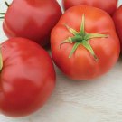 Quarter Century Tomato Seeds