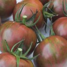 Purple Bumble Bee Tomato Seeds