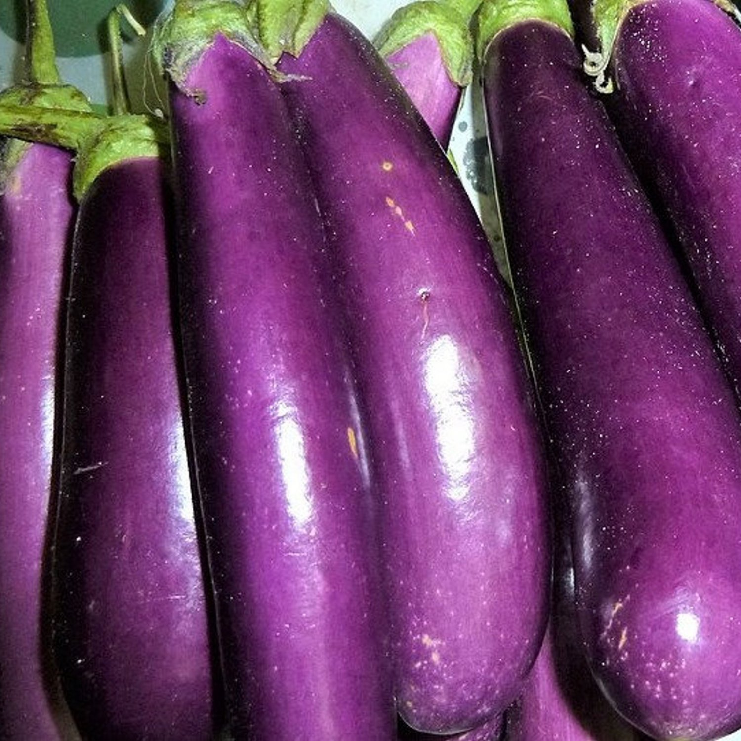 Long Purple Eggplant Seeds