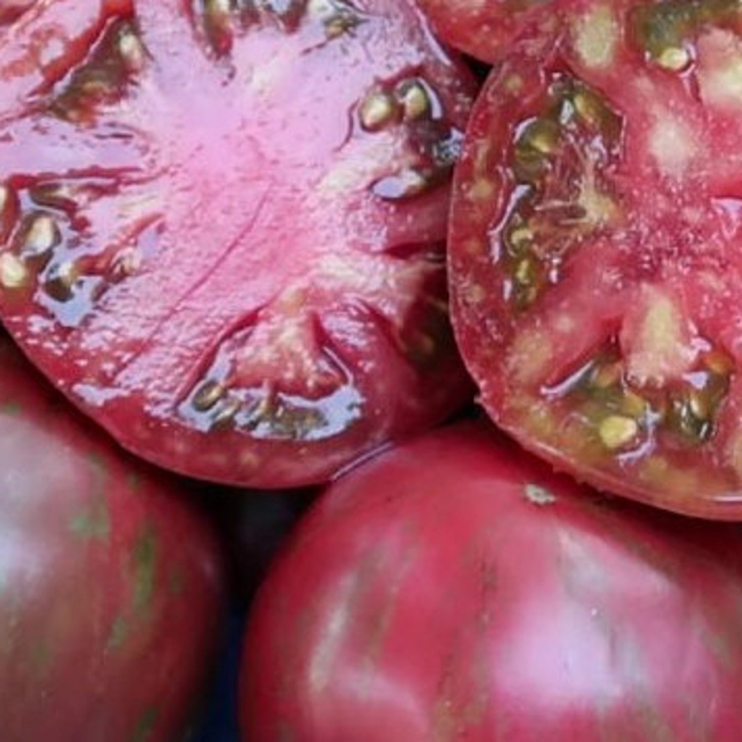 Pink Boar Tomato Seeds