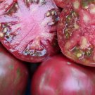 Pink Boar Tomato Seeds