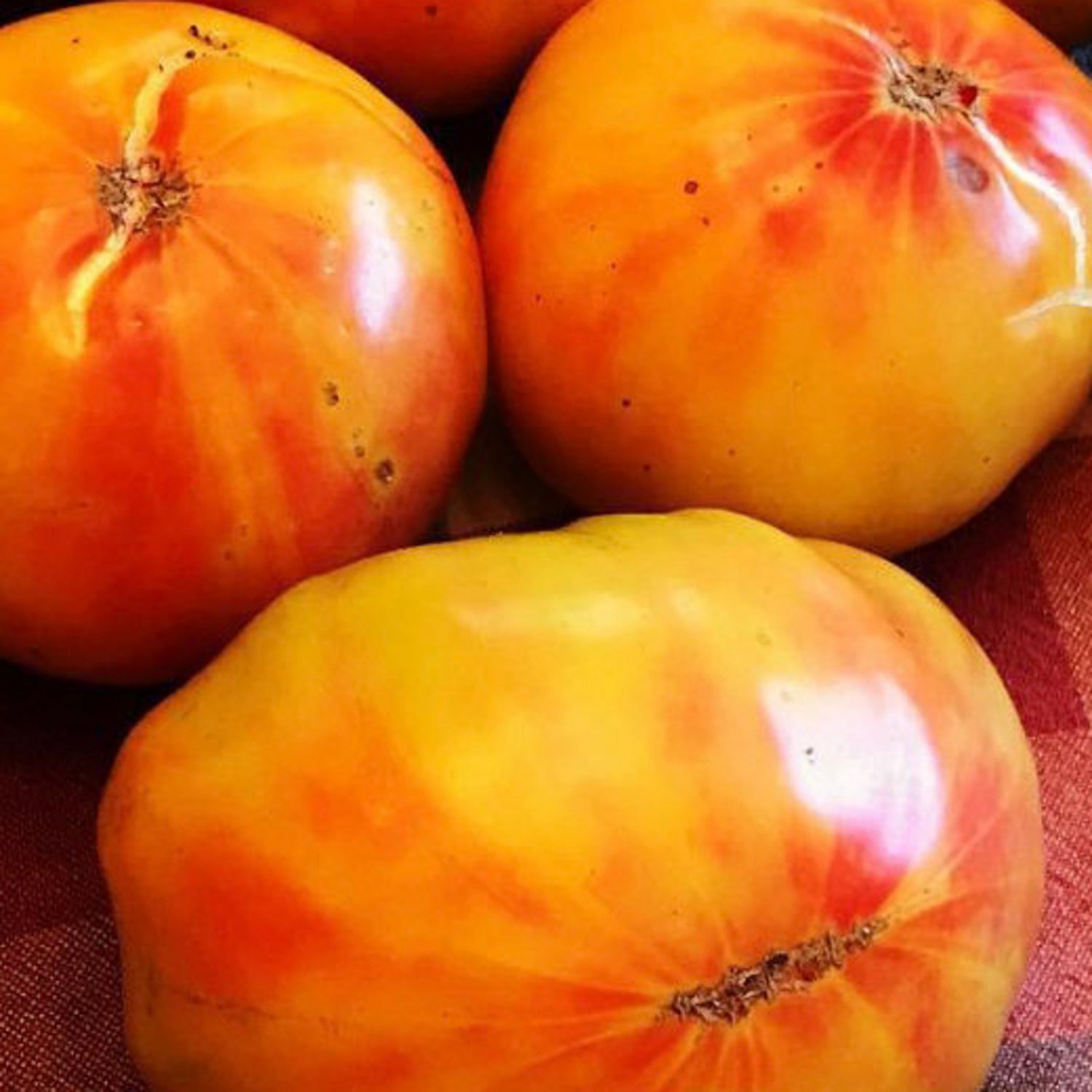 Pineapple Tomato Seeds