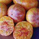 Patty'S Striped Beefsteak Tomato Seeds