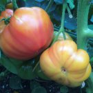 Oaxacan Jewel Tomato Seeds