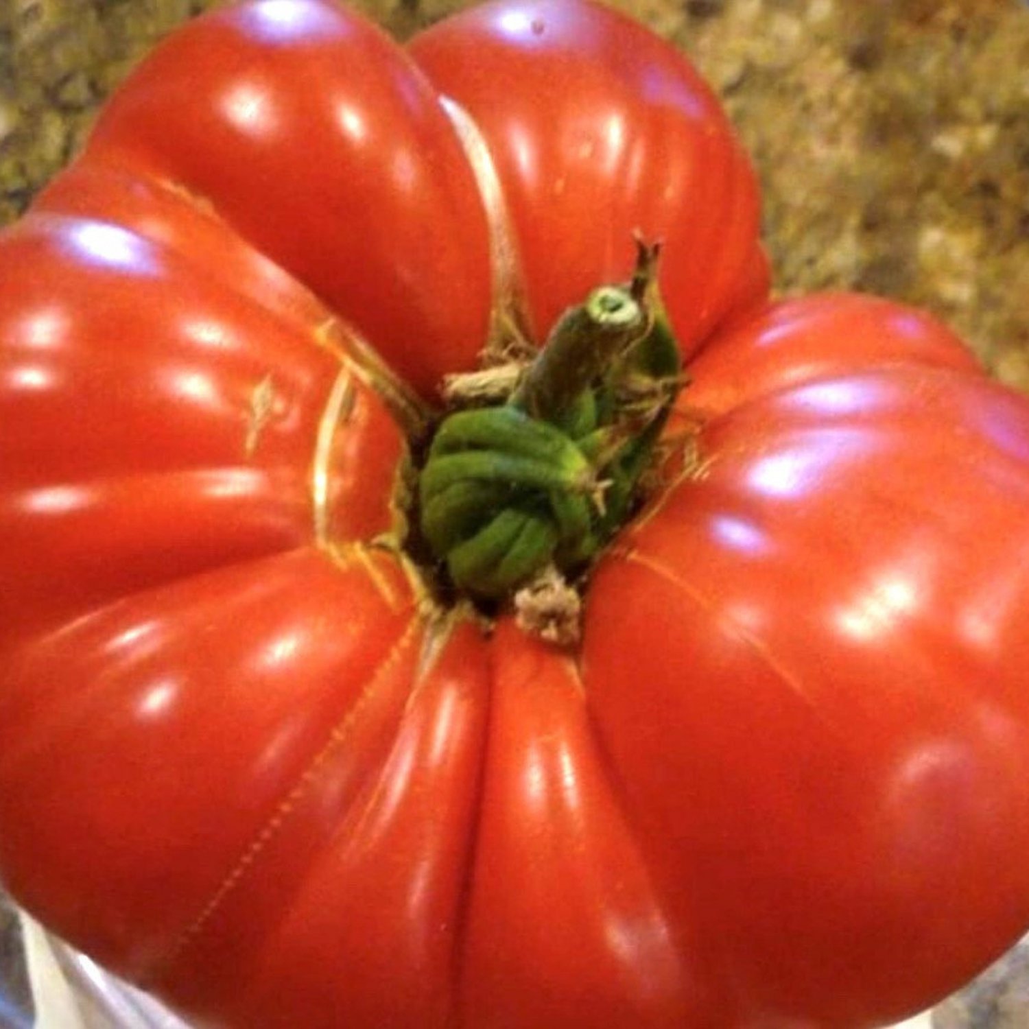 Watermelon Beefsteak Tomato Seeds