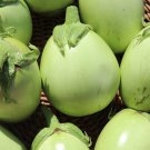 Green Apple Eggplant Seeds